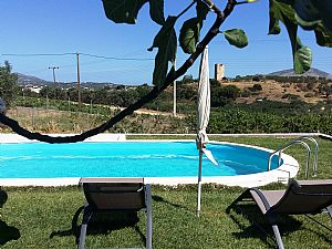 Mini suite with pool view