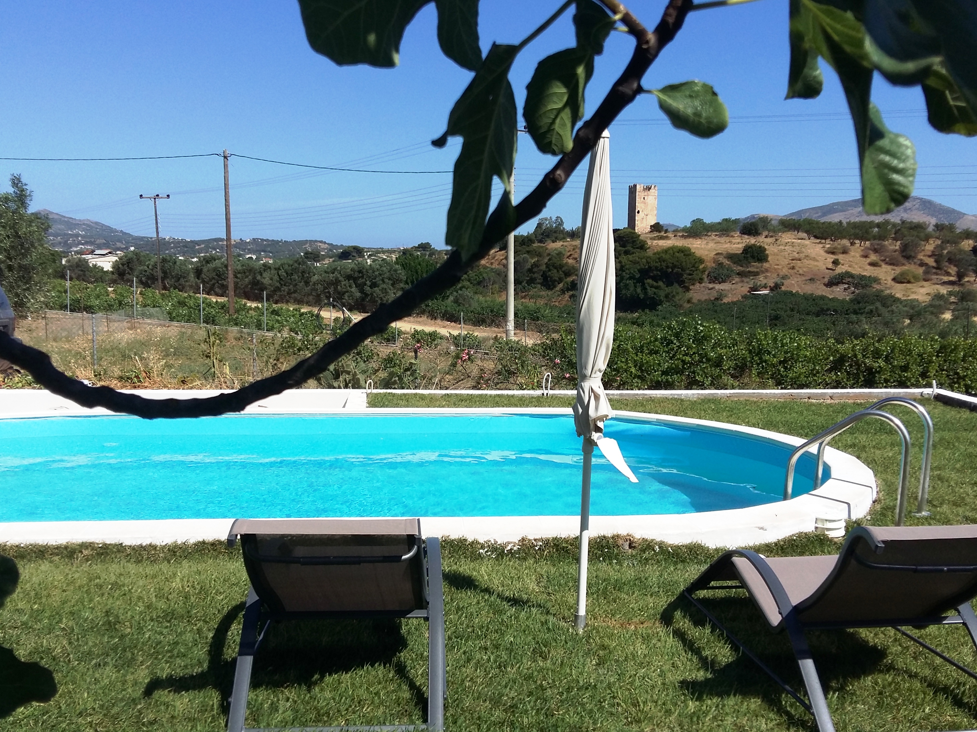 Mini suite with pool view